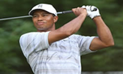 Tiger-Woods-Mini(1)