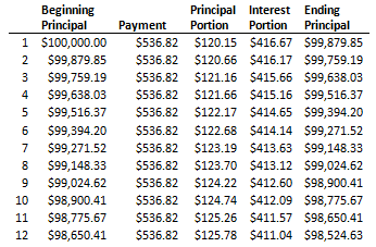 Negatively Amortizing Loan 1