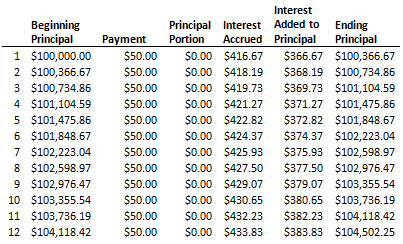 Negatively Amortizing Loan 2