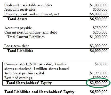 shareholders equity examples