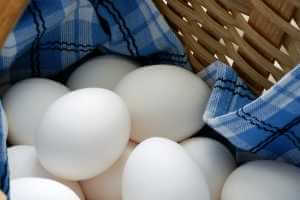 eggs_in_basket-diversification.jpg